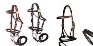 Bridles