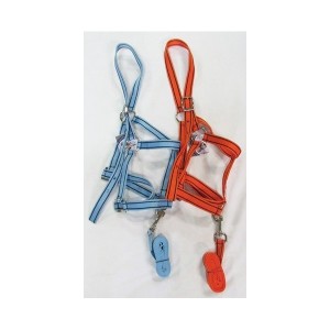 Halter and lead 2 tone-180