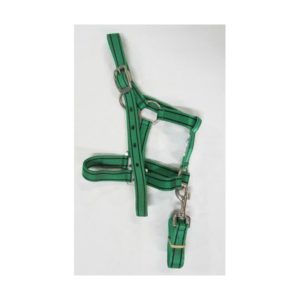 Halter and lead nylon 2 tone-397